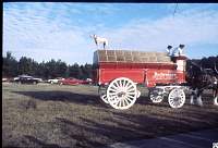 1980 Budweiser horses F'ville 01.jpg